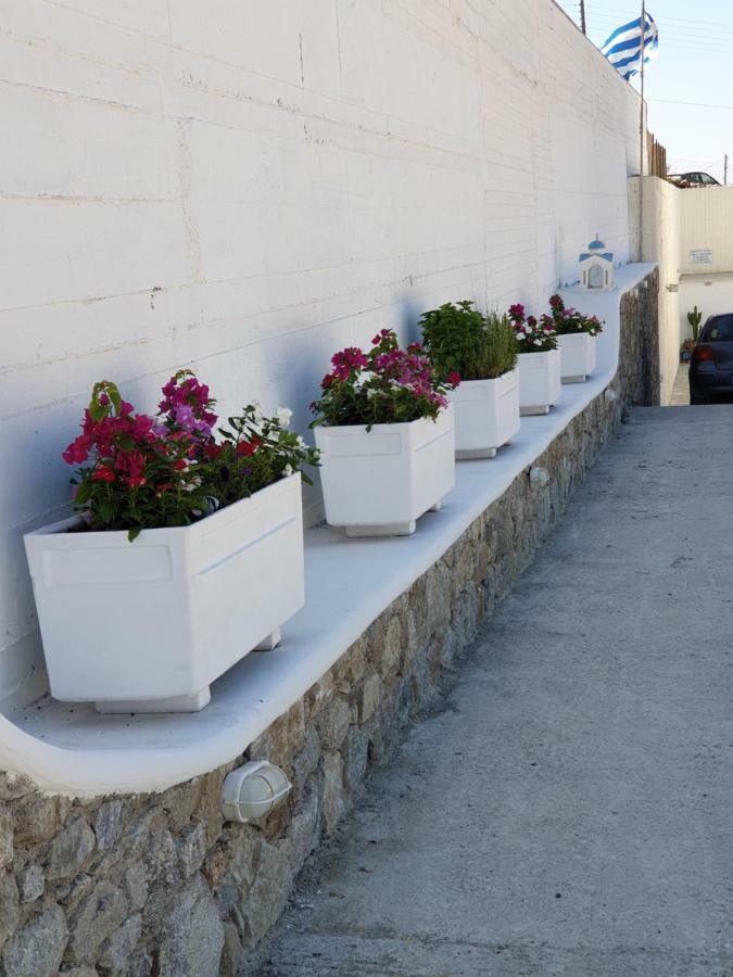 Mykonos Pro-Care Suites Ano Mera Exteriör bild